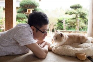 ねこあつめの家のイメージ画像1