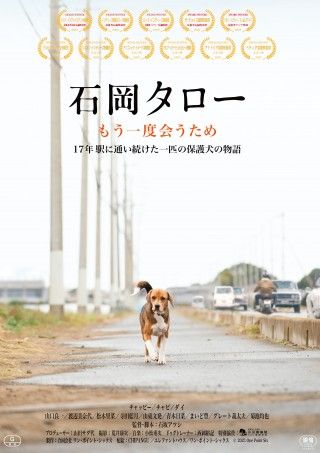 17年間飼い主を待ち続けた保護犬の感動実話『石岡タロー』3月29日公開決定！渡辺美奈代らからコメントも到着３