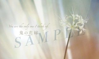 『鬼の花嫁』公開記念スペシャル座談会映像解禁!第2弾入場者プレゼントは書き下ろし小説に決定3