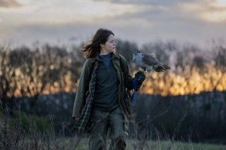オオタカとの暮らしで人生を取り戻す。クレア・フォイ主演「オオタカと私」1