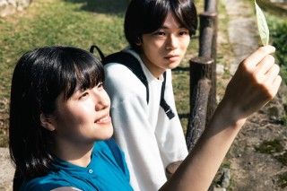 松井玲奈主演の異母姉妹物語「緑のざわめき」、予告編とキャスト陣のコメント到着３