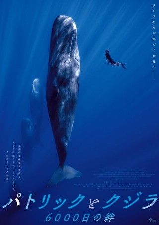 クジラに魅せられたカメラマンと2組のクジラの友情物語 「パトリックとクジラ 6000 日の絆」ポスタービジュアル・予告編解禁