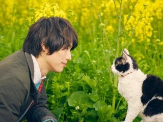 有川浩の「一生に一本しか書けない物語」『旅猫リポート』第22回ファンタジア国際映画祭にてワールドプレミア上映が決定