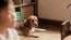 17年間飼い主を待ち続けた保護犬の感動実話『石岡タロー』3月29日公開決定！渡辺美奈代らからコメントも到着7