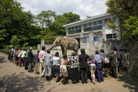 坂田鉄平関連映画 ニュースなど 映画の時間