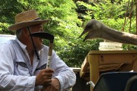 ナオトひとりっきり Alone in Fukushima