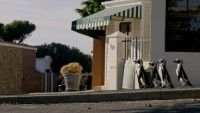 その年、地球が変わった