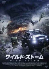 ワイルド・ストームジャケット写真