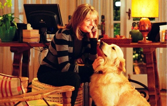 恋とスフレと娘とわたしの上映スケジュール 映画情報 映画の時間