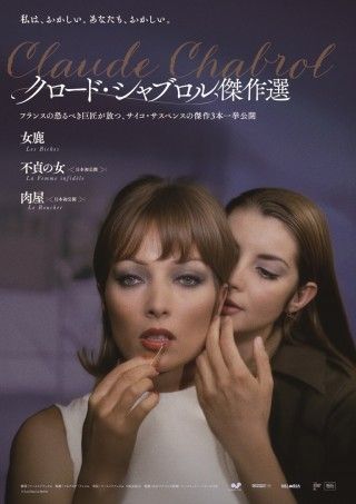 女鹿のイメージ画像１