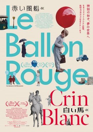白い馬（1953）（デジタル・リマスター版）のイメージ画像１