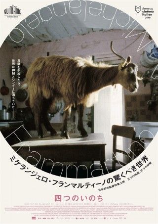 四つのいのちのイメージ画像１