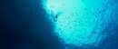 DIVE ダイブ 海底28メートルの絶望のイメージ画像１