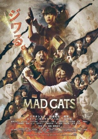 MAD CATSのイメージ画像１