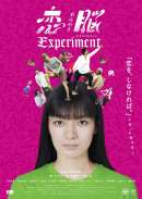 恋脳Experiment