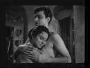 臆病者（1965）のイメージ画像１