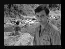 臆病者（1965）のイメージ画像１