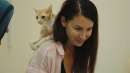 猫たちと7000マイルの旅のイメージ画像1