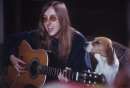 ジュディ・シル 贖罪のシンガーソングライターのイメージ画像1