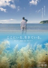 ここにいる、生きている。 消えゆく海藻の森に導かれて