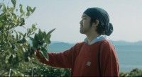 やがて海になる