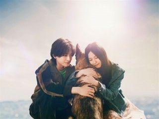 少年と犬（2025）のイメージ画像１