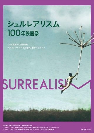 マックス・エルンスト 放浪と衝動のイメージ画像１