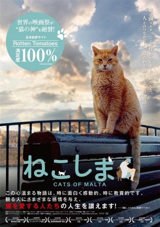 ねこしまのイメージ画像１