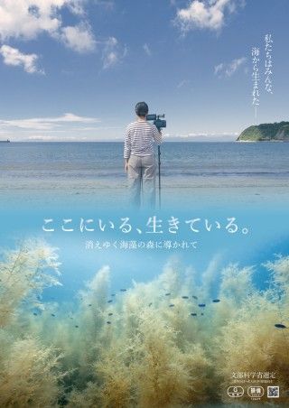 ここにいる、生きている。 消えゆく海藻の森に導かれてのイメージ画像１