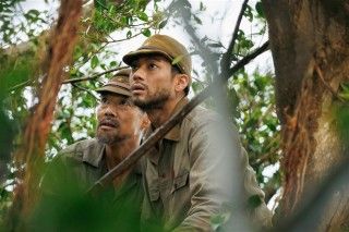 木の上の軍隊のイメージ画像１
