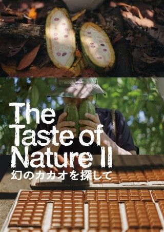 The Taste of Nature II 幻のカカオを探してのイメージ画像1