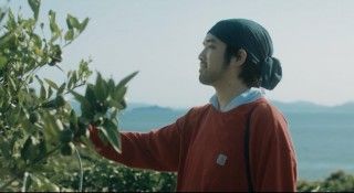 やがて海になるのイメージ画像１