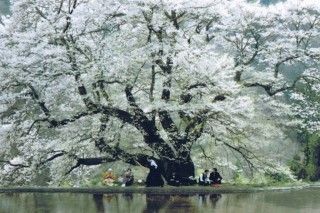 美式天然のイメージ画像1