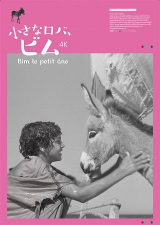 小さなロバ、ビム 4Kのイメージ画像1