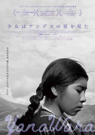 少女はアンデスの星を見たのイメージ画像1