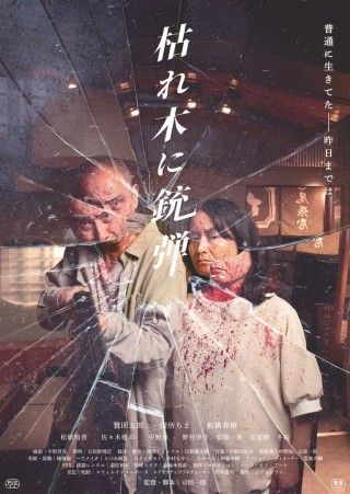 枯れ木に銃弾のイメージ画像１