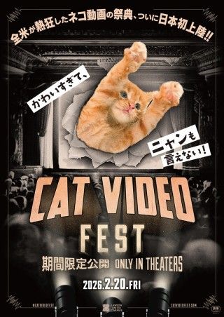 CatVideoFestのイメージ画像１