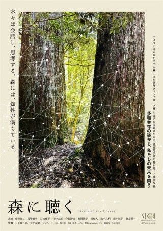 森に聴く Listen to the Forestのイメージ画像１