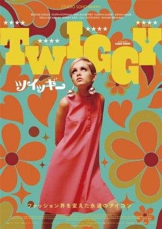 ツイッギーのイメージ画像1