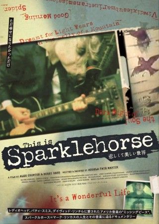 悲しくて美しい世界／THIS IS SPARKLEHORSEのイメージ画像１
