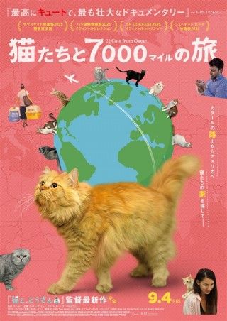猫たちと7000マイルの旅のイメージ画像1