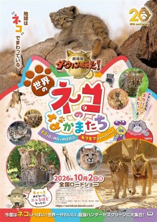 劇場版ダーウィンが来た！世界のネコのなかまたちのイメージ画像１