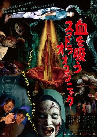 血を吸うスマトラオオコンニャクのイメージ画像1