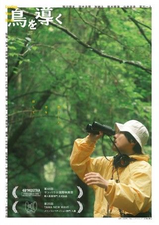 鳥を導くのイメージ画像1