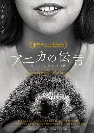 アニカの伝言のイメージ画像1