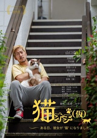 猫オチ(仮)のイメージ画像1
