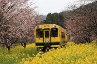 いすみ鉄道の写真