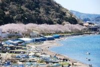 走水海岸の写真