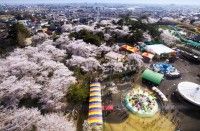 Auto Mirai 華蔵寺遊園地の写真