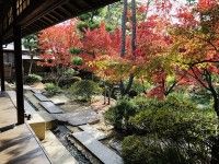 新渓園